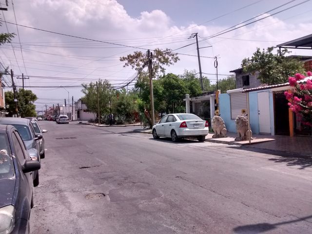 Sin Nombre